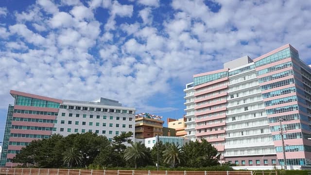 医療法人鉄蕉会 亀田総合病院の画像