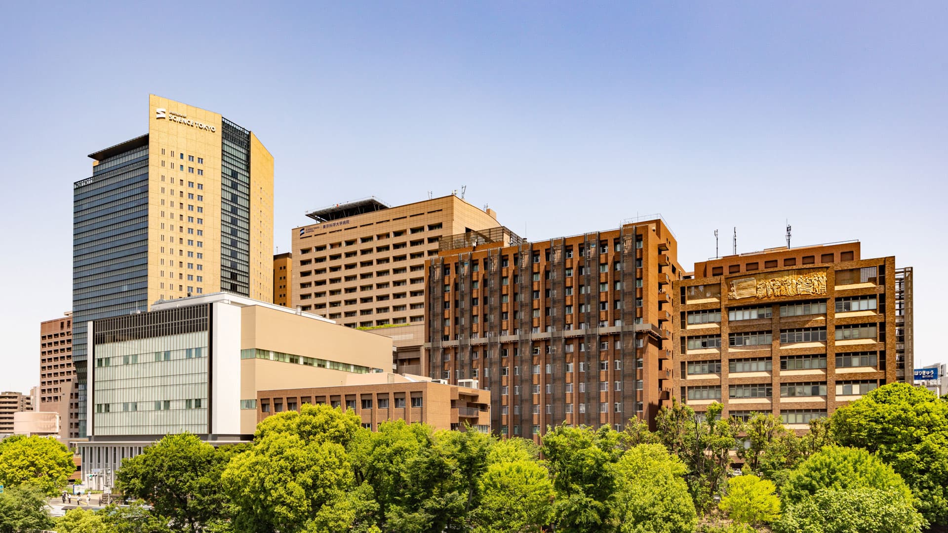 全国から研修医が集まる理由──東京科学大学病院の歯科研修のリアルの画像